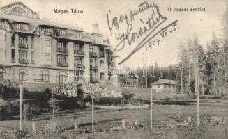 Ótátrafüred, hotel (small tear)