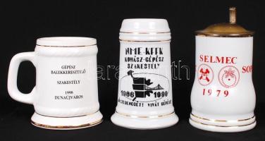 10 db Különféle porcelán és kerámia sörös korsó, hibátlanok