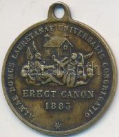 Olaszország 1883. "Szűz Mária - Alma Domo Lauretana" fém medál (21mm) T:2 Italy 1883. "ALMAE DOMUS LAURETANAE UNIVERSALIS CONGREGATIO EREGT. CANON 1883 / SS.VIRGO LAURETANA ORA PRO NOBIS" metal pendant (21mm) C:XF