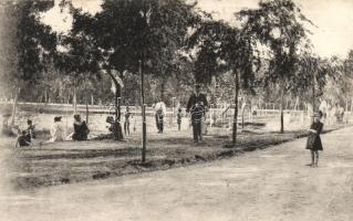 Jászapáti, Jössze Sporttelep (fa)