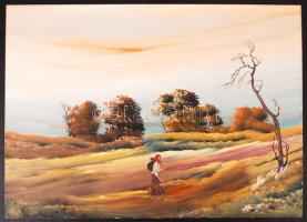 Szécsi Katalin (1955-): Narancsos ég. Olaj, farost, jelzett, 50×70 cm