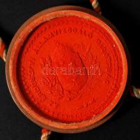 1914 Bp., A selmecbányai erdészeti államvizsgáló bizottság elnöksége által kibocsátott díszes erdőmé...