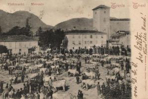 Trento, Trient; Viehmarkt, Mercato / market place (minor pinhole)