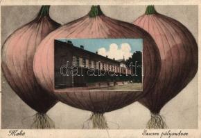 Makó, hagyma, Szecsev pályaudvar, vasútállomás (EK)