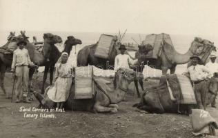 Sand carriers on Kest, Canary Islands