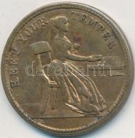 Nagy-Britannia DN "Viktória királynő / Őrizd meg a nyugalmad" réz zseton (22mm) T:2
Great ...