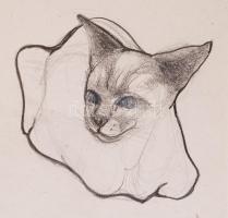 3 db grafika
Olvashatatlan jelzéssel:Alvás előtt. Ceruza, papír, paszpartuban, 20×13 cm
Olvashatatla...