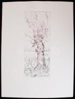 Kolozsvári G. Miklós (1950-): Fűzfa. Rézkarc, papír, jelzett, 24×10 cm