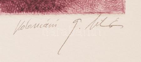 Kolozsvári G. Miklós (1950-): Kertész. Rézkarc, papír, jelzett, 12×10 cm