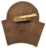 DN "Magyar Detektív Szövetség - Privát Detektív" Br jelvény T:2 (rögzítőpánt laza)