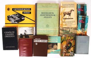 Doboznyi tudományoks témájú könyv, többek között Schneemann József: Tranzisztoros táskarádiók, A bányászati kutatóintézet, Kertészeti alapismeretek, Háziállatok anatómiájának atlasza és más érdekességek