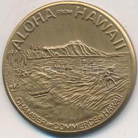 Amerikai Egyesült Államok 1974 "Hawaii Dollar - Kamehameha" fém emlékdollár T:1-  USA 1974 "Hawaii Dollar - King Kamehameha - Honolulu" commemorative dollar C:AU