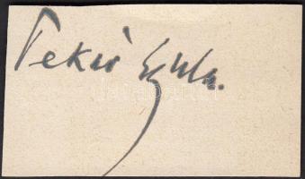 Pekár Gyula (1867-1937) író, országgyűlési képviselő aláírása papírkivágáson