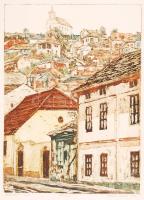 Takács Dezső (1933-): Havi hegy, Pécs. Színezett rézkarc, papír, jelzett, 33×26 cm