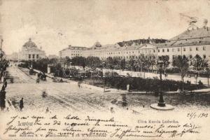 Lviv, Lwów, Lemberg; Ulica Karola Ludwika / street  (EK)