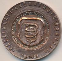 Peternák Gusztáv (1928-) 1983. "Keszthelyi Éremgyűjtő Csoport / Cseszneki Várrom" Br emlék...