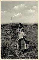 Kőrösmező, Jasina; Skládání sena / collecting hay, folklore