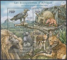 Afrikai élővilág - sas, majom, farkas, földimalac kisív, African wildlife - eagles, monkeys, wolves, ground pig minisheet