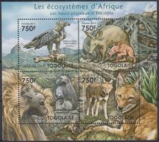 African wildlife - eagles, monkeys, wolves, ground pig minisheet, Afrikai élővilág - sas, majom, farkas, földimalac kisív