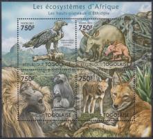 African wildlife - eagles, monkeys, wolves, ground pig minisheet, Afrikai élővilág - sas, majom, farkas, földimalac kisív