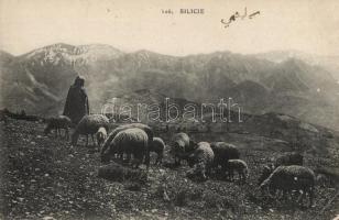 Silice, mountain shepherd, sheep