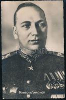 Marshal Voronov