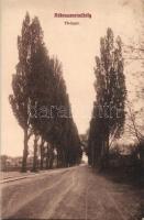 Budapest XVI. Rákosszentmihály, Fő fasor