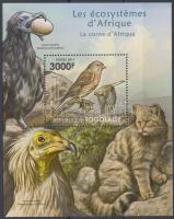 Afrikai élővilág - blokk madarak, vadmacska, African wildlife - birds, wildcat block
