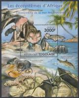 African wildlife - bats block, Afrikai élővilág - denevér blokk