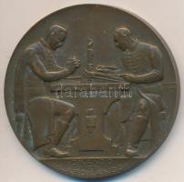 Berán Lajos (1882-1943) 1938. "Debreceni Collegium 1538-1938" bronz emlékérem (196.5g/80mm...