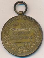 1898. "Jubileumi Emlékérem Fegyveres Erő Számára / Signum memoriae (AVSTR)" Br érem mellsz...