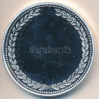 DN. "A Hazáért - Katonai Felderítő Hivatal" ezüstözött fém emlékérem T:PP