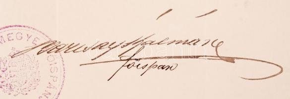 1903 Dévai közkórházi főorvosi kinevezés Hunyad vármegyei főispán aláírásával / Apointment for head ...