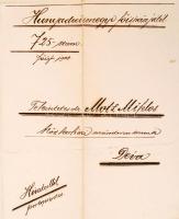 1903 Dévai közkórházi főorvosi kinevezés Hunyad vármegyei főispán aláírásával / Apointment for head ...