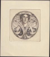 Alfred Cossmann (1870-1951): Ex libris Sophie Teltscher. Rézkarc, papír, jelzett a karcon, 7,5×7,5 c...