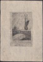 Ottohans Beiber (1892-1979): Ex libris Dr. L. Schweinburg. Klisé, hártyapapír, jelzett, 10,5×6,5 cm