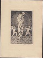 Karl Ritter (1888-1977): Ex libris U.Lenze. Rézkarc, papír, jelzett, 14×9 cm