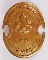 1963 Cserkész világjamboree jelvény / 1963 Marathon Greece Jamboree badge