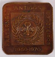 1973 Cserkész jelvény / 1973 Fraternal Antigos Escoterios 1950-1970 badge