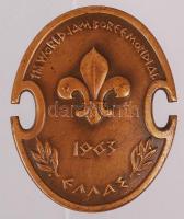 1963 Cserkész világjamboree kis jelvény / 1963 Marathon Greece Jamboree small badge 25mm