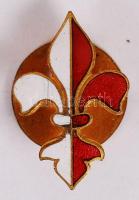 Brunnen Agris Suisse zománcozott cserkész  gomblyukjelvény / Scout badge