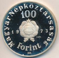 1973. 100Ft Ag "Petőfi Sándor" T:PP