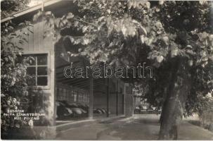 Budapest XXII. Budafok, Posta szanatórium, Női pihenő