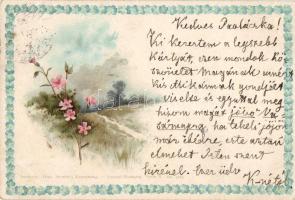 Flower T.S.N. No. 5023. litho (Rb)