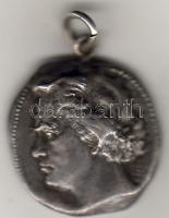 USA 1913. fém emlékérem T:2