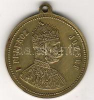 1896. "Milleniumi emlék-Ferenc József" Br érem T:2