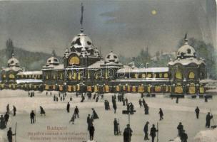 Budapest XIV. Városliget, jégpálya (EB)