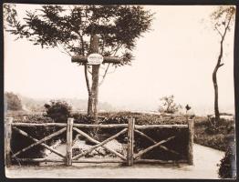 1936 Eger, Gárdonyi Géza sírja, hátoldalon feliratozva, sarka sérült, felületén hajtásnyomok, 24x18 cm