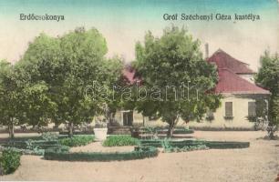 Erdőcsokonya, Gróf Széchenyi Géza kastélya (EK)