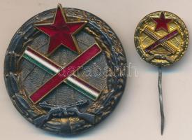 1954. "Magyar Partizán Emlékérem" sorszámozott kitüntető jelvény, hátoldalon "Fegyverrel a hazáért" felirattal kitűzővé alakított miniatűrrel, dísztokban T:2,2-